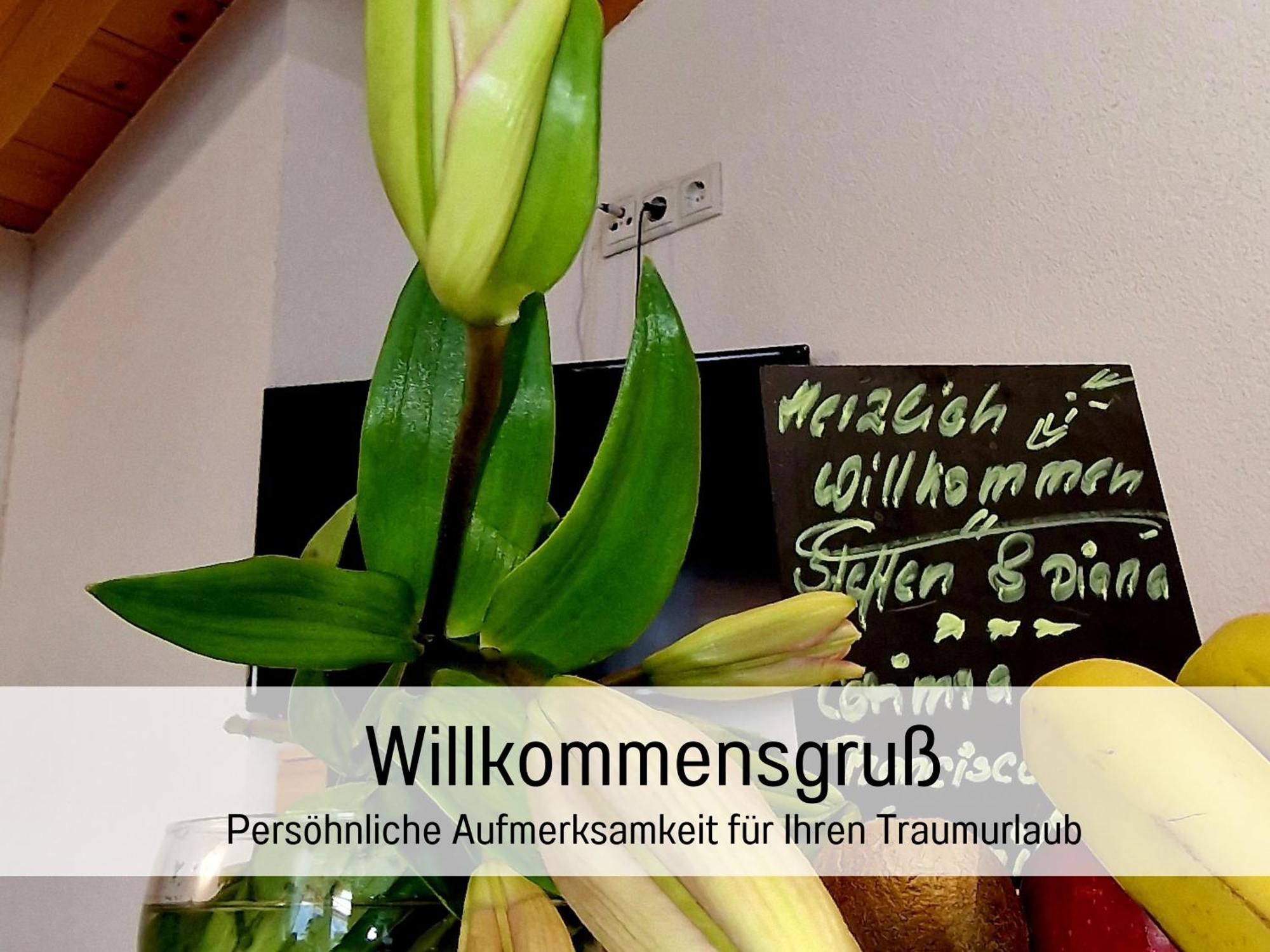 Elke Alpenlandschaft Apartment *